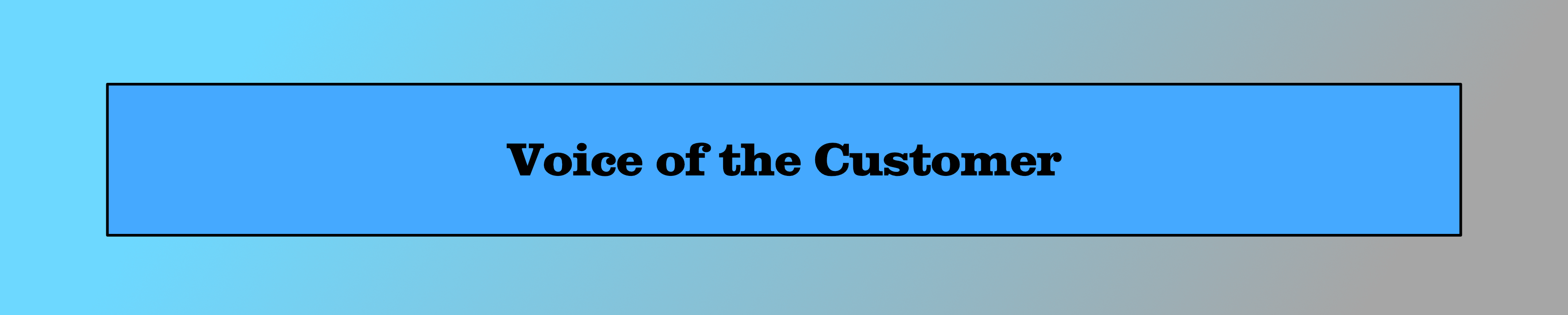 Voice of the Customer